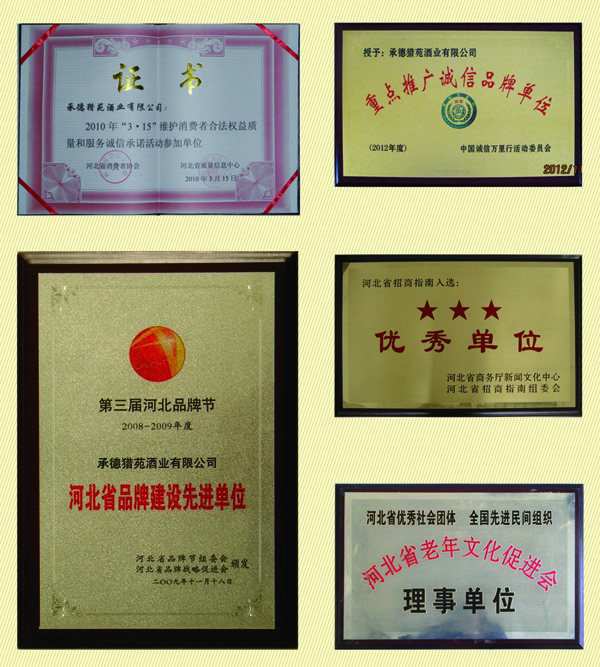 彩神vii-追求健康,你我一起成長(zhǎng)