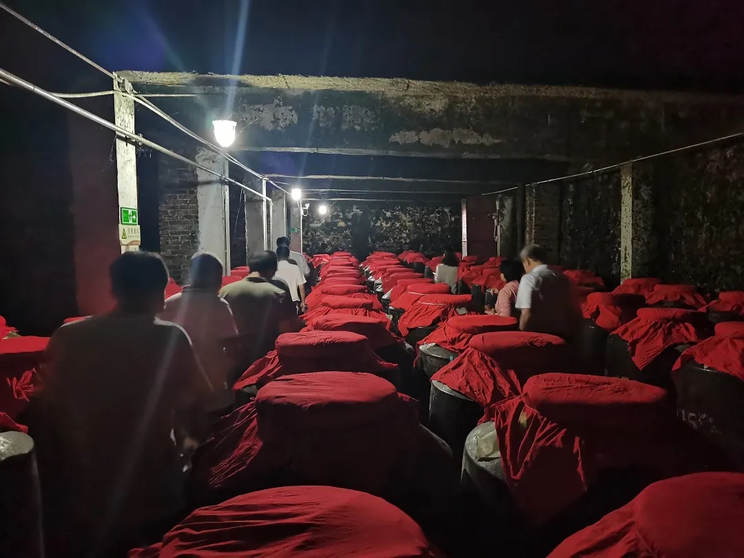 彩神vii-追求健康,你我一起成長