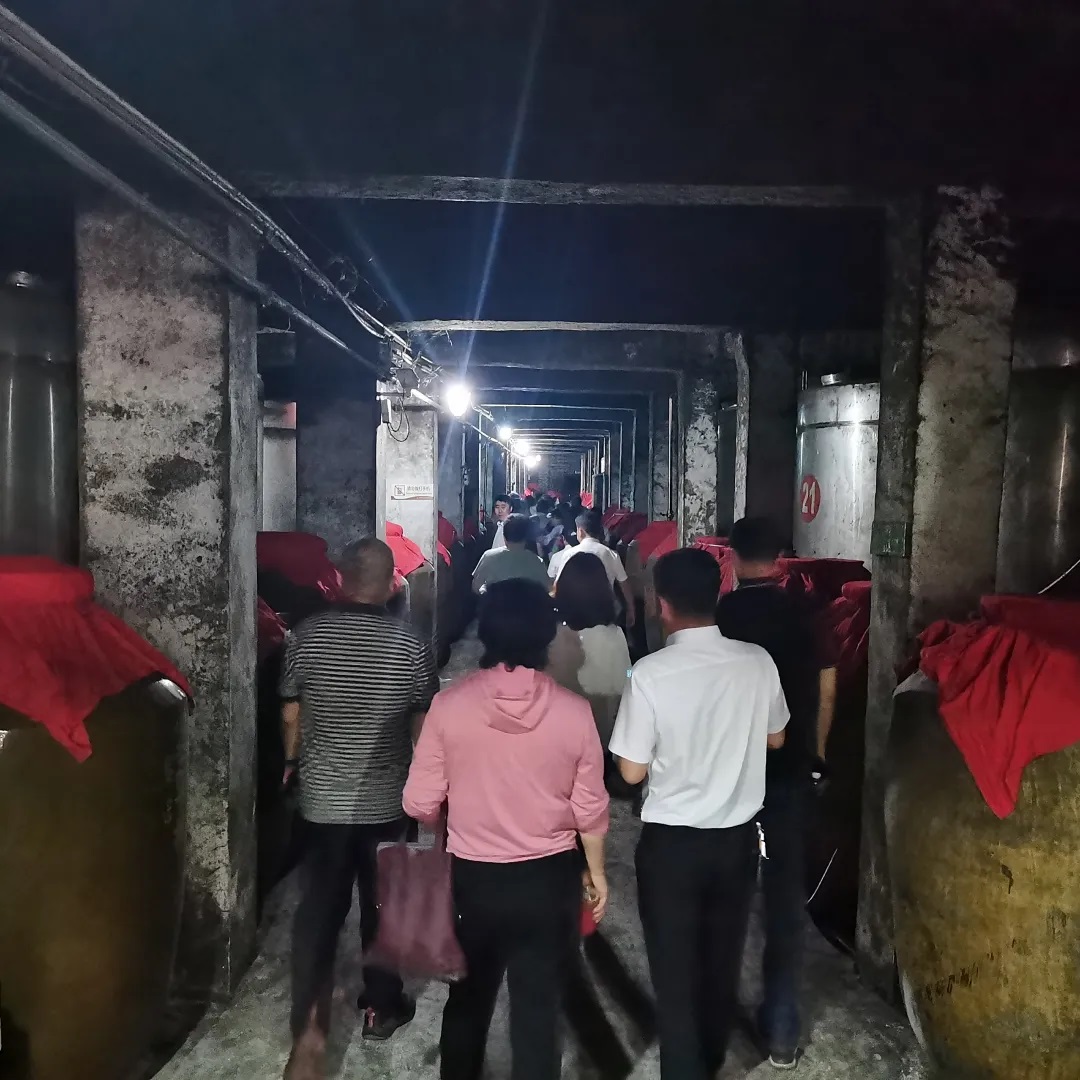 彩神vii-追求健康,你我一起成長