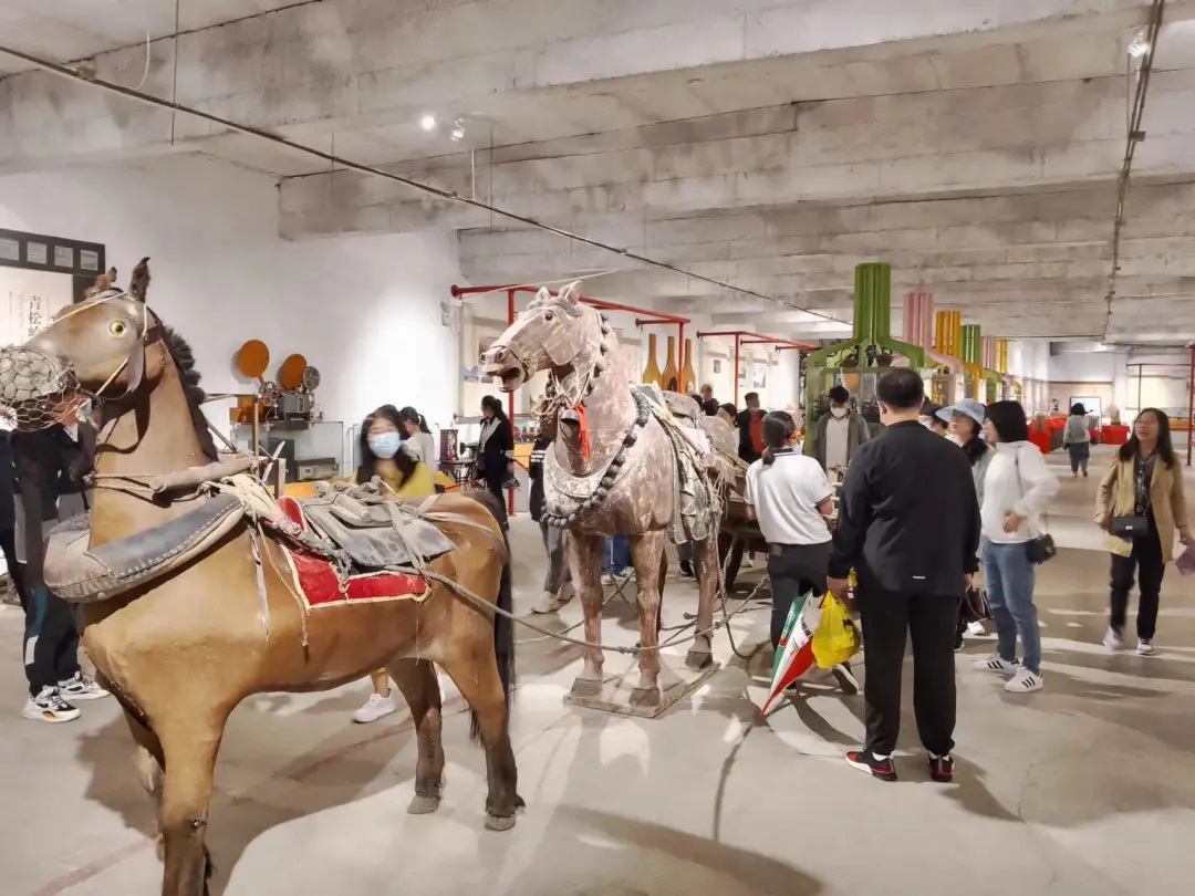 彩神vii-追求健康,你我一起成長